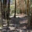  Land for sale in Los Rios, Lago Ranco, Ranco, Los Rios