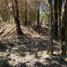  Land for sale in Los Rios, Lago Ranco, Ranco, Los Rios