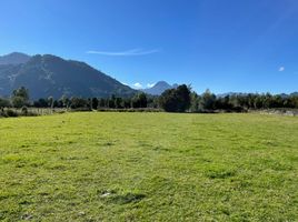  Land for sale in Los Rios, Lago Ranco, Ranco, Los Rios