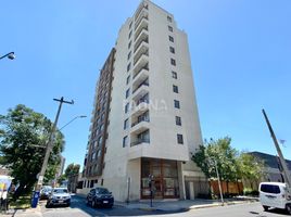 1 Bedroom Condo for rent in Puente Alto, Cordillera, Puente Alto