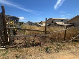  Terreno (Parcela) en venta en Cardenal Caro, Libertador General Bernardo O'Higgins, Pichilemu, Cardenal Caro