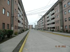 3 Bedroom Apartment for sale in Maule, Curico, Curico, Maule
