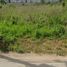  Terreno (Parcela) en venta en Merida, Yucatán, Merida, Yucatán