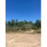  Land for sale in Baranoa, Atlantico, Baranoa