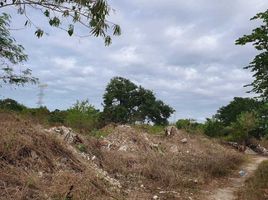  Grundstück zu verkaufen in Merida, Yucatan, Merida