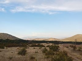  Terrain for sale in Coahuila, Arteaga, Coahuila