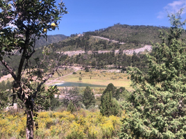  Terrain for sale in Coahuila, Arteaga, Coahuila