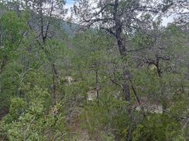  Terrain for sale in Coahuila, Arteaga, Coahuila