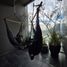 Studio Condo for rent in Zapopan, Jalisco, Zapopan, Jalisco