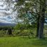  Land for sale in Los Lagos, Fresia, Llanquihue, Los Lagos