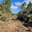  Land for sale in Los Lagos, Calbuco, Llanquihue, Los Lagos