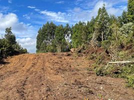  Land for sale in Los Lagos, Calbuco, Llanquihue, Los Lagos