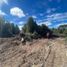  Land for sale in Los Lagos, Calbuco, Llanquihue, Los Lagos