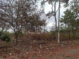  Land for sale in Guayas, Guayaquil, Guayaquil, Guayas