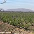  Land for sale in Chile, Lampa, Chacabuco, Santiago, Chile