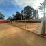 Land for sale in Chile, La Ligua, Petorca, Valparaiso, Chile