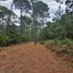 Terreno (Parcela) en venta en Mazamitla, Jalisco, Mazamitla