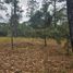  Terreno (Parcela) en venta en Mazamitla, Jalisco, Mazamitla