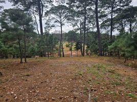  Terreno (Parcela) en venta en Mazamitla, Jalisco, Mazamitla