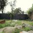  Land for sale in Chile, Puente Alto, Cordillera, Santiago, Chile