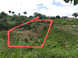  Terreno (Parcela) en venta en Dosquebradas, Risaralda, Dosquebradas