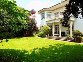 Studio House for rent in Miguel Hidalgo, Mexico City, Miguel Hidalgo