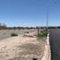  Grundstück zu verkaufen in Torreon, Coahuila, Torreon