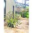 5 Bedroom House for sale in Chile, Santiago, Santiago, Santiago, Chile