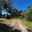  Land for sale in Villa Gesell, Buenos Aires, Villa Gesell