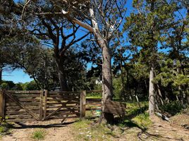  Terreno (Parcela) en venta en Villa Gesell, Buenos Aires, Villa Gesell