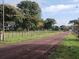  Land for sale in Saladas, Corrientes, Saladas