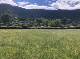  Terreno (Parcela) en venta en Chia, Cundinamarca, Chia