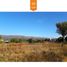  Land for sale in Junin, San Luis, Junin