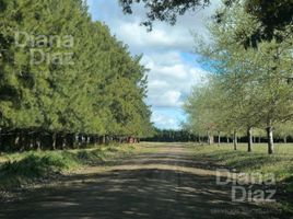  Terrain for sale in Canuelas, Buenos Aires, Canuelas