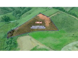  Land for sale in Marinilla, Antioquia, Marinilla