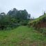  Grundstück zu verkaufen in Pereira, Risaralda, Pereira, Risaralda