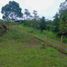  Grundstück zu verkaufen in Pereira, Risaralda, Pereira, Risaralda