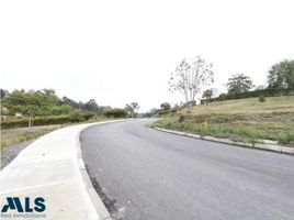  Grundstück zu verkaufen in El Carmen, Norte De Santander, El Carmen