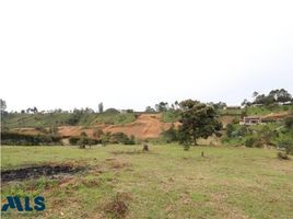  Grundstück zu verkaufen in El Carmen, Norte De Santander, El Carmen