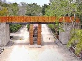  Grundstück zu verkaufen in Cozumel, Quintana Roo, Cozumel