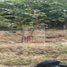  Land for sale in Carmen, Campeche, Carmen