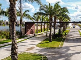 4 Schlafzimmer Appartement zu verkaufen in Merida, Yucatan, Merida