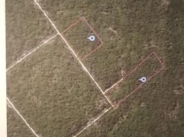  Land for sale in Merida, Yucatan, Merida, Yucatan