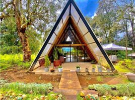 1 Schlafzimmer Haus zu vermieten in Valle De Bravo, Mexico, Valle De Bravo, Mexico