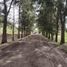  Land for sale in Berisso, Buenos Aires, Berisso
