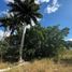  Land for sale in Merida, Yucatan, Merida, Yucatan