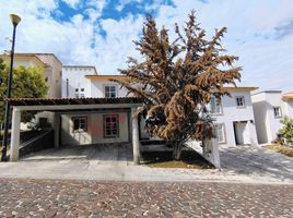 3 Schlafzimmer Haus zu vermieten in Queretaro, Queretaro, Queretaro, Queretaro