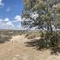  Land for sale in General Cepeda, Coahuila, General Cepeda