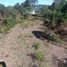  Land for sale in Guarne, Antioquia, Guarne