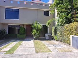 4 Habitación Departamento en alquiler en Toluca, México, Toluca
